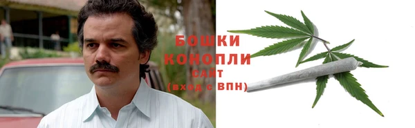 винт Бикин