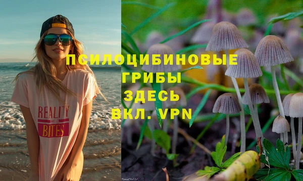 марки lsd Новокубанск
