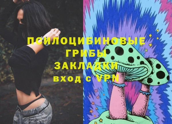 2c-b Новодвинск