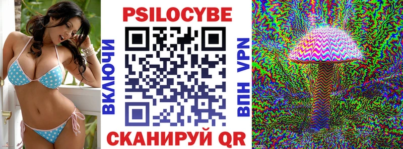 Псилоцибиновые грибы Psilocybine cubensis  darknet клад  Курганинск 