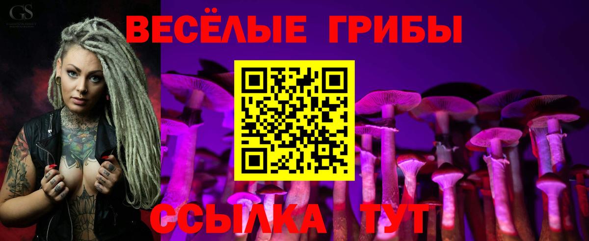 Галлюциногенные грибы Psilocybine cubensis Курганинск