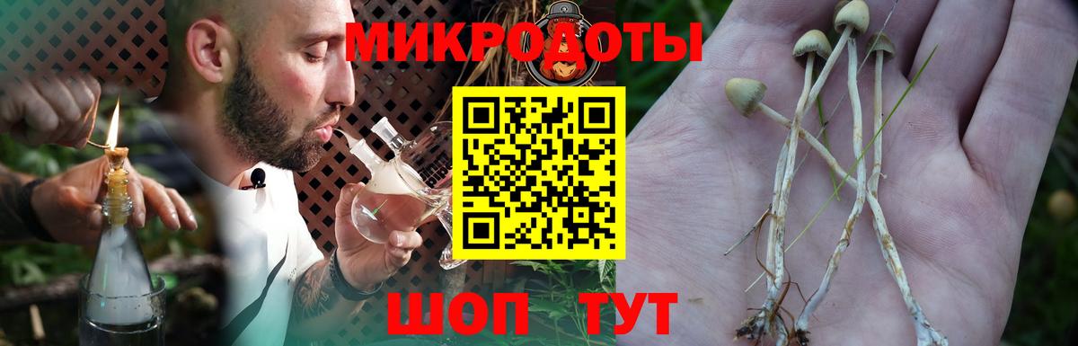 Галлюциногенные грибы ЛСД  Вход с VPN  Курганинск 